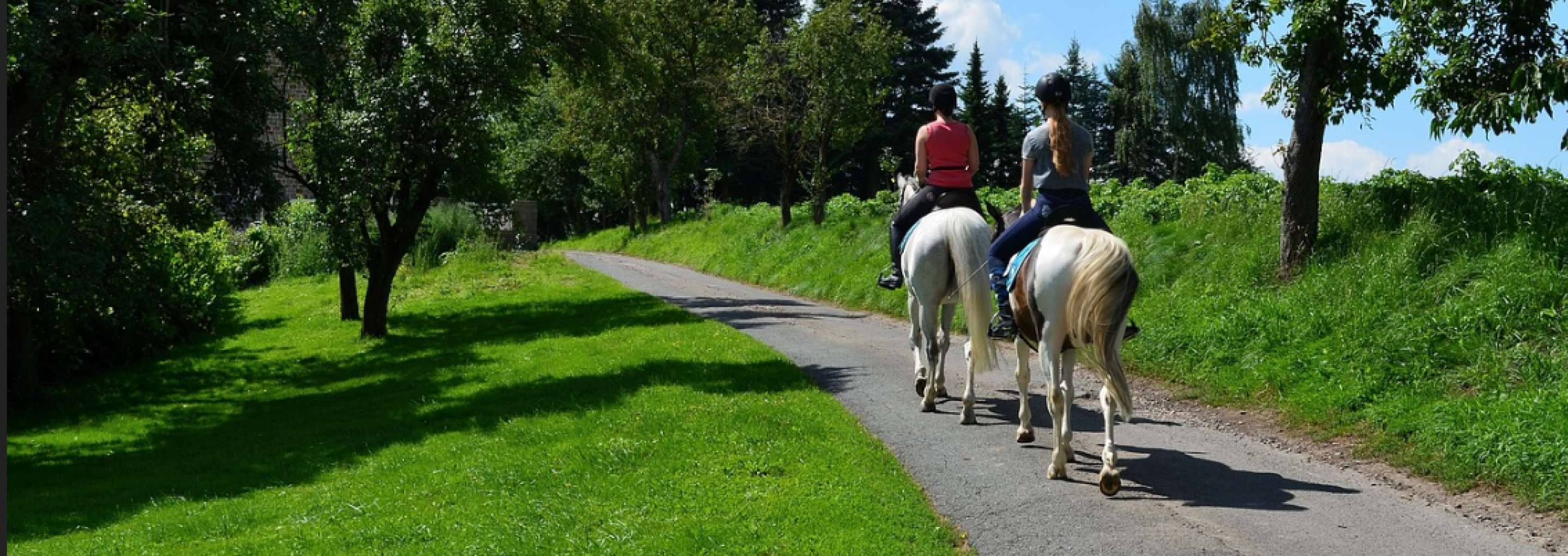 Friskvårdsbidrag för ridsport - se vad som gäller!