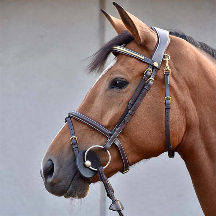 Träns Clincher Mässing WC Brun i gruppen Hästutrustning / Träns & Pannband / Träns hos Horseonline AB (0522161Br_r)