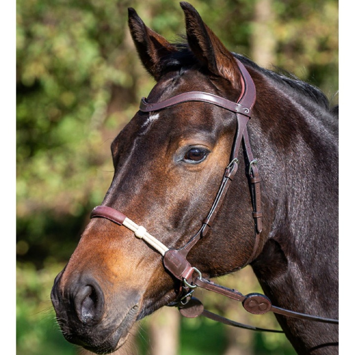 Träns Bettlöst LCC Brun C i gruppen Hästutrustning / Träns & Pannband / Hackamore & Bettlösa Träns hos Horseonline AB (0522CE160BR-C)