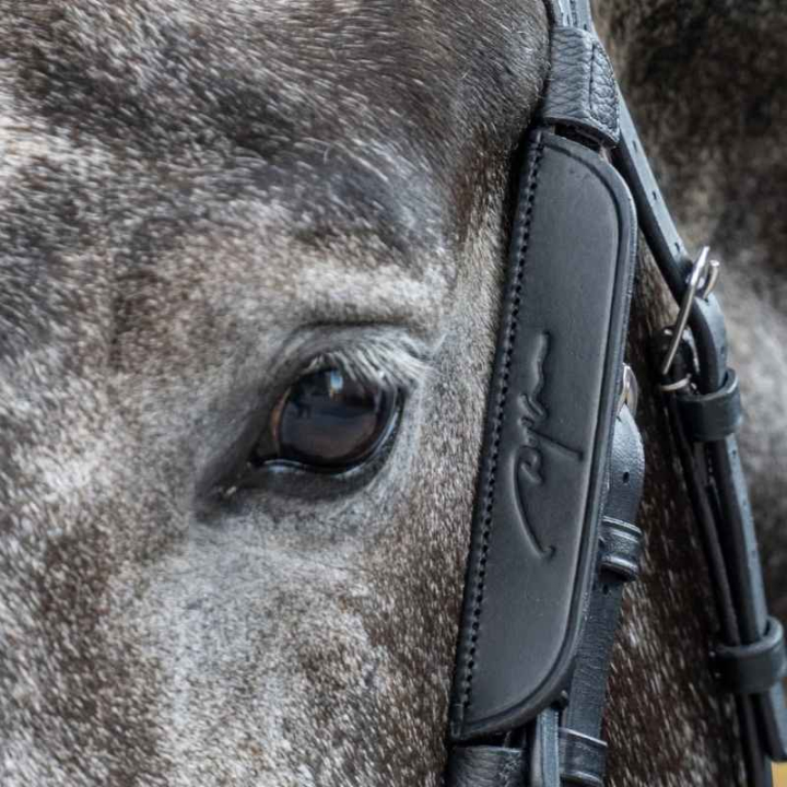Fokus / Blinkers 2-pack Svart i gruppen Hästutrustning / Träns & Pannband / Tränstillbehör hos Horseonline AB (0523BBL_S_r)