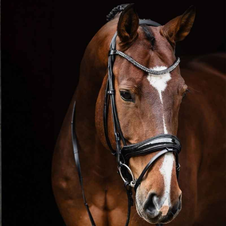 Dressyrträns Lack Isabell Werth Satchmo Svart i gruppen Hästutrustning / Träns & Pannband / Kandarträns & Dressyrträns hos Horseonline AB (1000921BA_r)