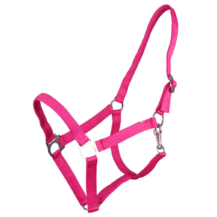Grimma Slide Fuchsia i gruppen Hästutrustning / Grimmor / Tyg- & Nylongrimmor hos Horseonline AB (1040FU1FU_r)