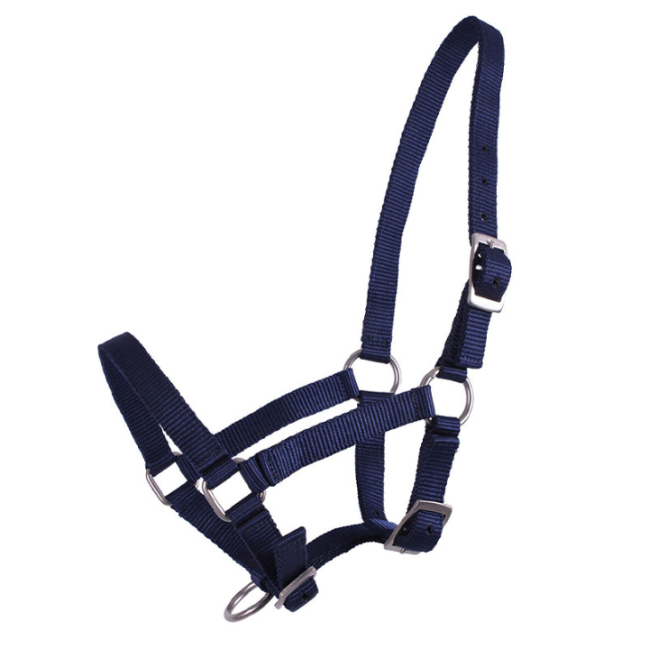 Fölgrimma Adjustable Marinblå i gruppen Hästutrustning / Grimmor / Fölgrimmor hos Horseonline AB (1047DBV1nan_r)