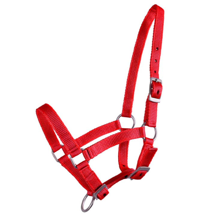 Fölgrimma Adjustable Röd i gruppen Hästutrustning / Grimmor / Fölgrimmor hos Horseonline AB (1047ROV1RE_r)