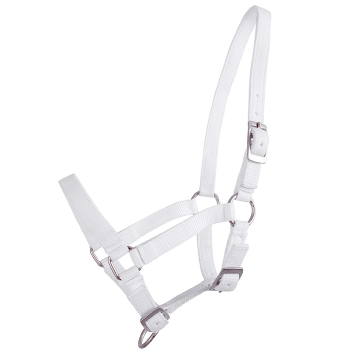 Fölgrimma Adjustable Vit i gruppen Hästutrustning / Grimmor / Fölgrimmor hos Horseonline AB (1047WIV1WH_r)