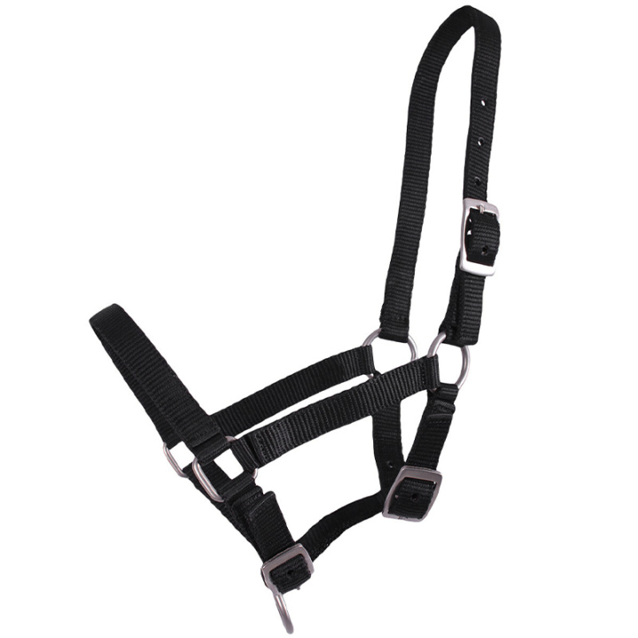 Fölgrimma Adjustable Svart i gruppen Hästutrustning / Grimmor / Fölgrimmor hos Horseonline AB (1047ZWV1BA_r)