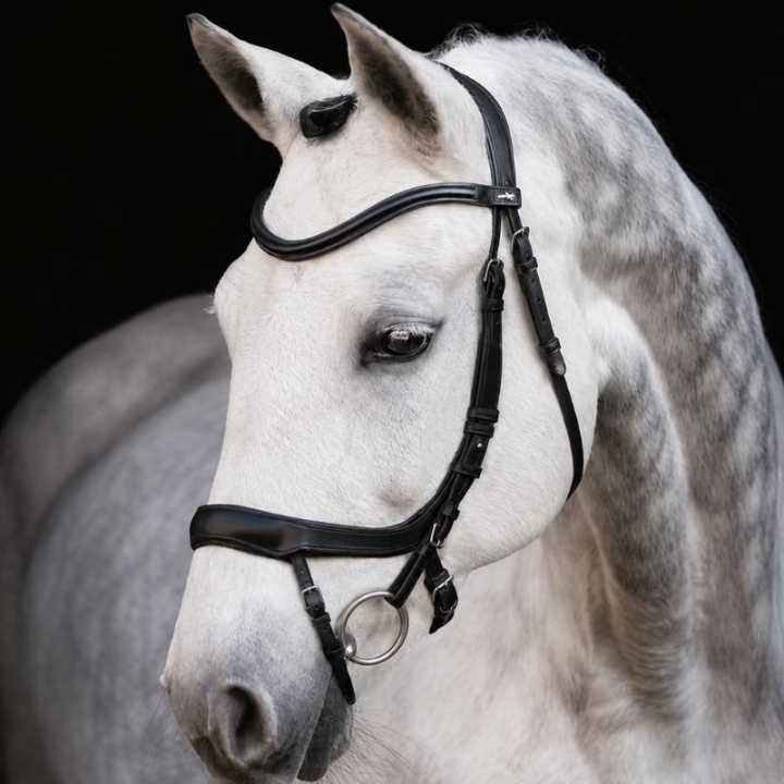 Träns Equitus Alpha Svart i gruppen Hästutrustning / Träns & Pannband / Träns hos Horseonline AB (1101-00044Sv_r)