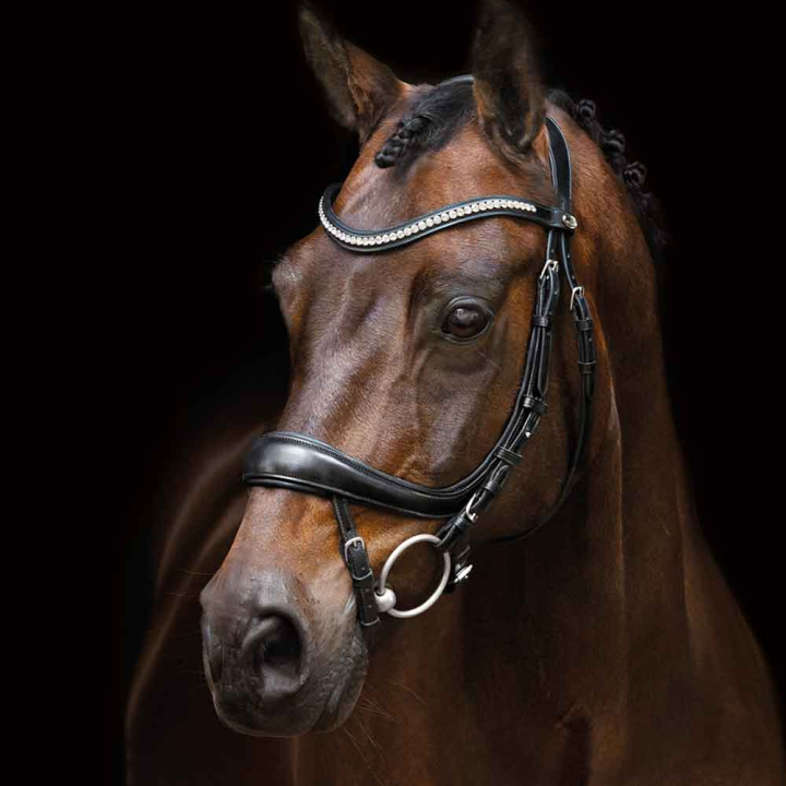Träns Equitus Beta Svart i gruppen Hästutrustning / Träns & Pannband / Träns hos Horseonline AB (1101-00045Sv_r)
