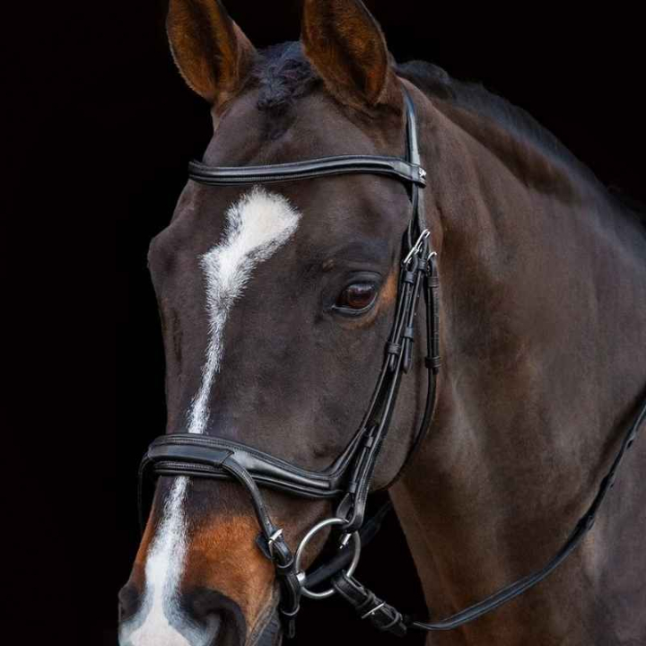 Träns Ancona Select Svart i gruppen Hästutrustning / Träns & Pannband / Träns hos Horseonline AB (1101000731BA_r)