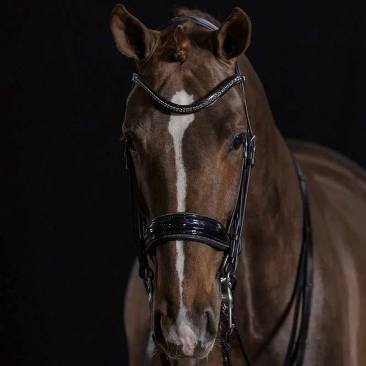 Kandarträns Lack Milan Glam Svart i gruppen Hästutrustning / Träns & Pannband / Kandarträns & Dressyrträns hos Horseonline AB (1111000141BA_r)
