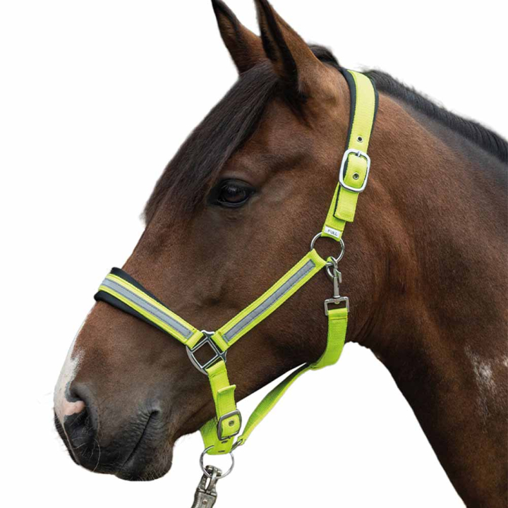 Grimma Reflective Gul/Silver  i gruppen Ridutrustning / Reflexer hos Horseonline AB (14191YE)
