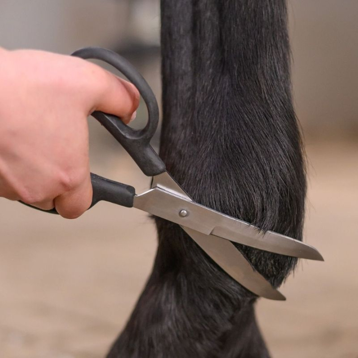 Sax Fetlock Shears Bend Svart i gruppen Skötsel & Vård / Borstar / Saxar & Trimknivar hos Horseonline AB (154200BA)
