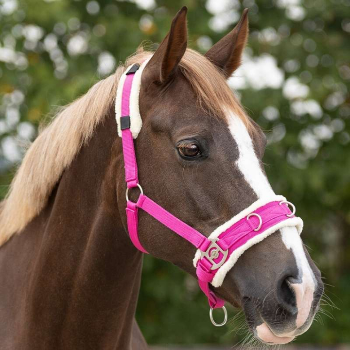 Kapson Fauxfur Rosa i gruppen Hästutrustning / Longering & Tömköring hos Horseonline AB (1668FU7PI_r)