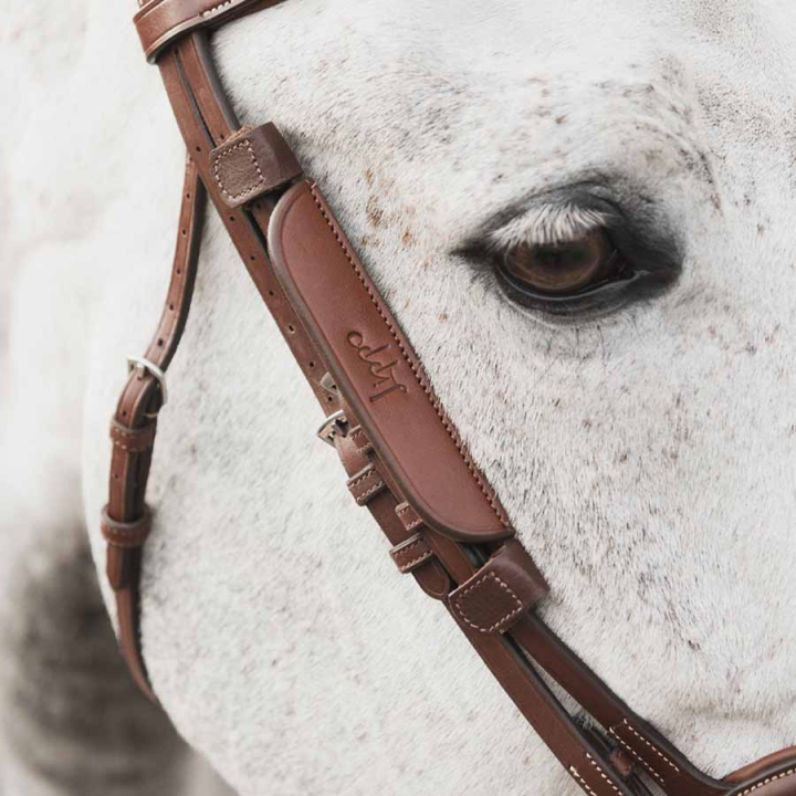 Blinkers Supreme Oak Bark i gruppen Hästutrustning / Träns & Pannband / Tränstillbehör hos Horseonline AB (201253OB_r)