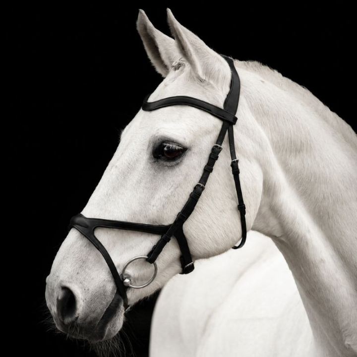 Träns Arthur Svart i gruppen Hästutrustning / Träns & Pannband / Träns hos Horseonline AB (201312Sv_r)