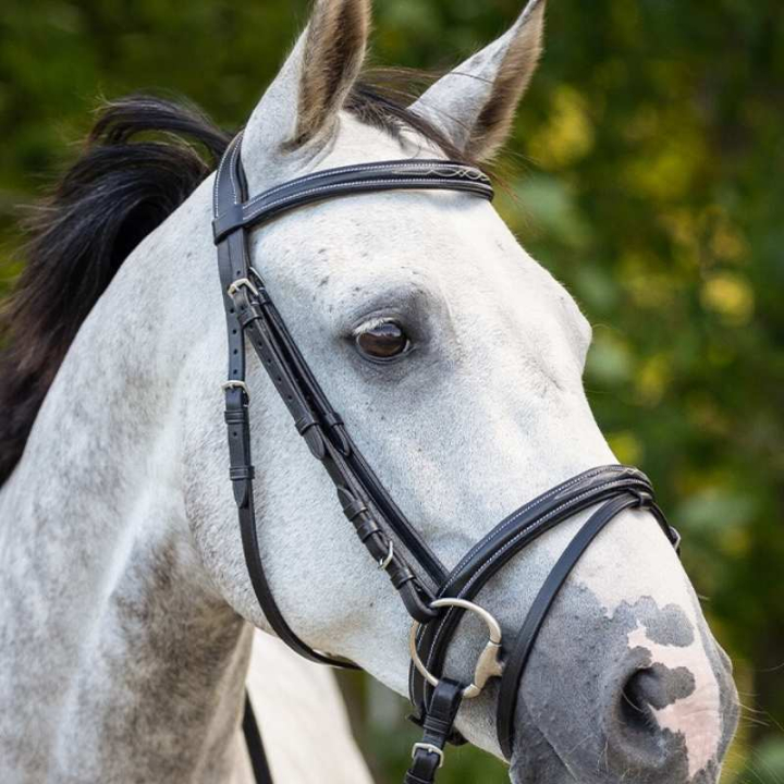 Anatomiskt Träns Luxury Stitched Svart i gruppen Hästutrustning / Träns & Pannband / Träns hos Horseonline AB (2021ZW1BA_r)