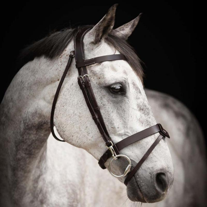 Träns Trainer Basic Mörkbrun i gruppen Hästutrustning / Träns & Pannband / Träns hos Horseonline AB (204162DBR_r)
