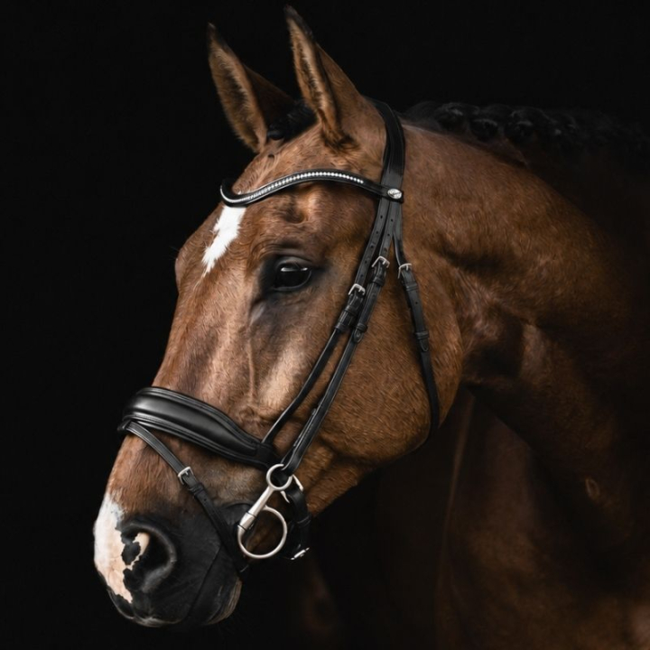 Dressyrträns Integro Svart i gruppen Hästutrustning / Träns & Pannband / Kandarträns & Dressyrträns hos Horseonline AB (208613Sv_r)