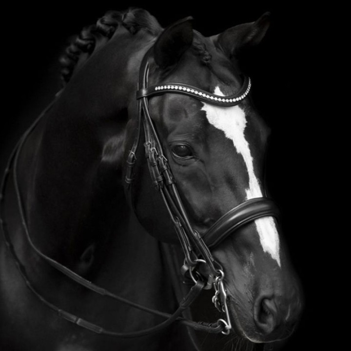 Kandarträns Delicato Supreme Svart i gruppen Hästutrustning / Träns & Pannband / Kandarträns & Dressyrträns hos Horseonline AB (208813BA_r)