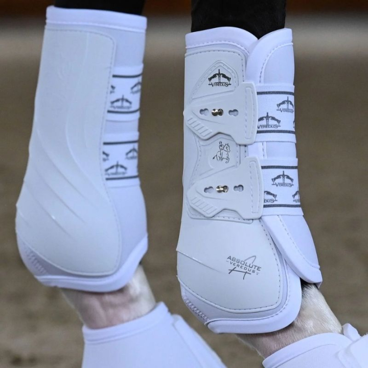 Dressyrskydd Absolute Front Elastic Vit i gruppen Hästutrustning / Benskydd & Benlindor / Damasker & Dressyrskydd hos Horseonline AB (21020190Vi_r)