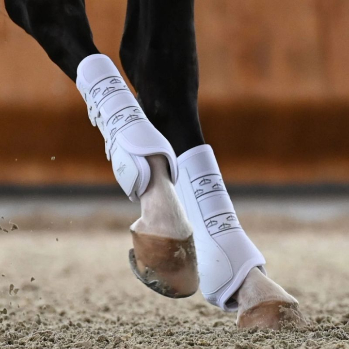 Dressyrskydd Absolute Rear Elastic Vit i gruppen Hästutrustning / Benskydd & Benlindor / Damasker & Dressyrskydd hos Horseonline AB (21020191Vi_r)