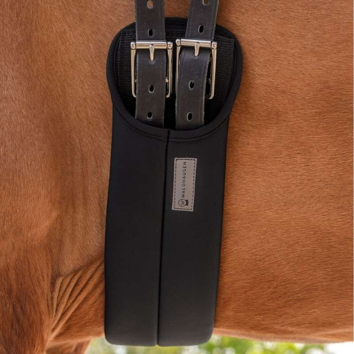 Dressyrgjord Super Soft Svart i gruppen Hästutrustning / Sadelgjordar / Dressyrgjordar hos Horseonline AB (21280104BA_r)