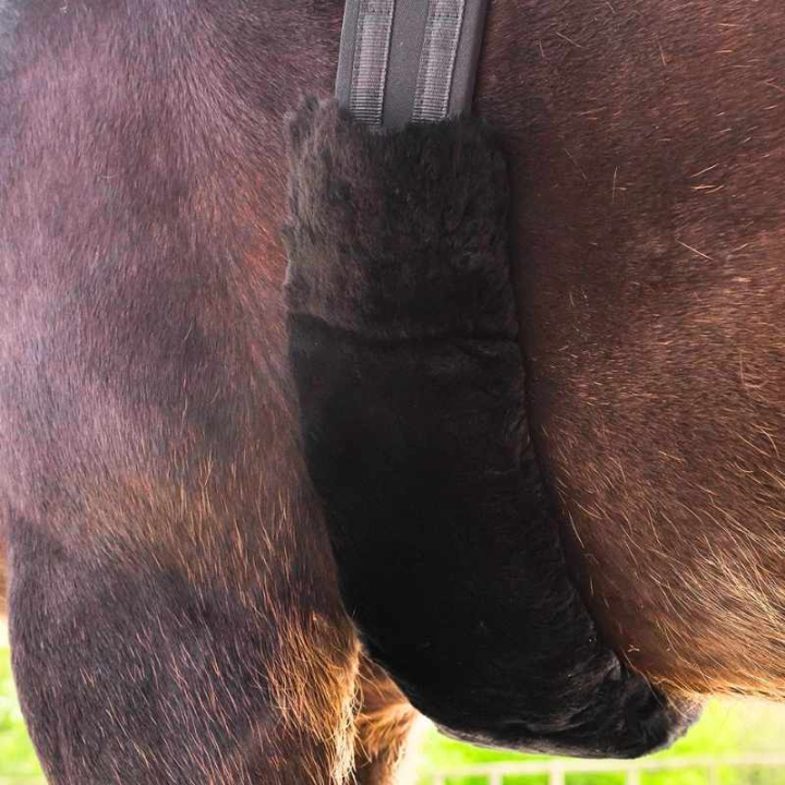 Sadelgjordstunnel Lambskin Svart i gruppen Hästutrustning / Sadelgjordar / Sadelgjordstunnlar hos Horseonline AB (21443001BA)