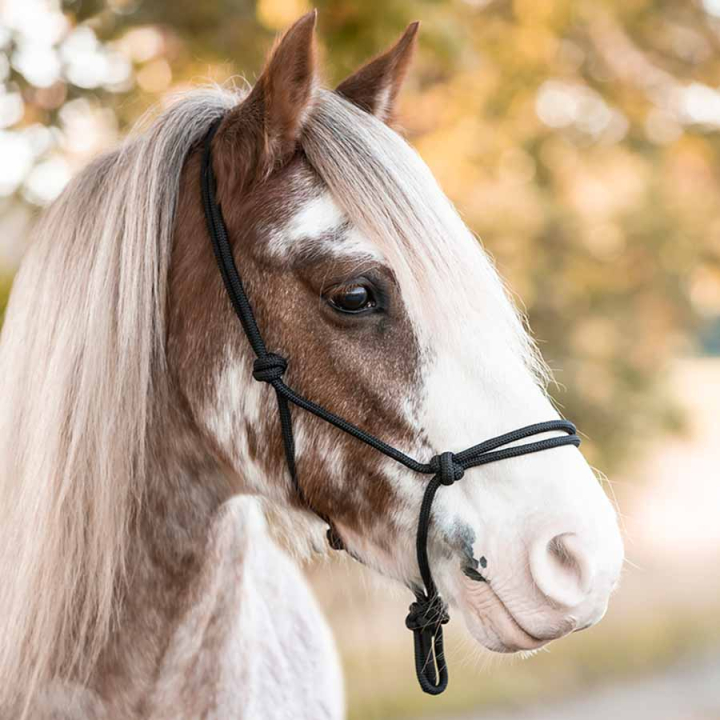 Repgrimma Polypropylene Svart i gruppen Hästutrustning / Grimmor / Repgrimmor hos Horseonline AB (240012BA_r)