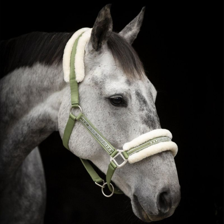 Grimma med Ludd Olivgrön/Natur i gruppen Hästutrustning / Grimmor / Tyg- & Nylongrimmor hos Horseonline AB (243012Gn_r)