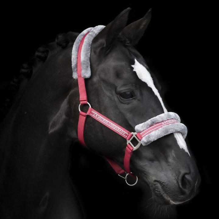 Grimma med Ludd Röd/Grå i gruppen Hästutrustning / Grimmor / Tyg- & Nylongrimmor hos Horseonline AB (243082REGR_r)