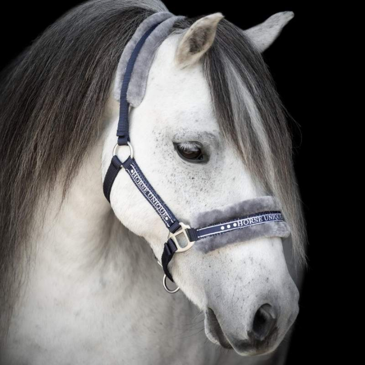 Grimma med Ludd Marinblå/Grå i gruppen Hästutrustning / Grimmor / Tyg- & Nylongrimmor hos Horseonline AB (243720NAGR_r)