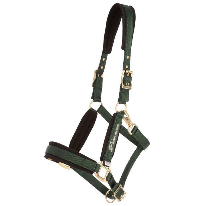 Grimma Comfort Grön i gruppen Hästutrustning / Grimmor hos Horseonline AB (244332GN_r)