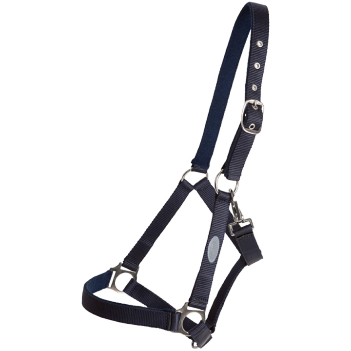 Grimma Basic Marinblå i gruppen Hästutrustning / Grimmor / Tyg- & Nylongrimmor hos Horseonline AB (244922NA_r)