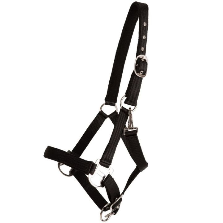 Grimma Double Buckle Svart i gruppen Hästutrustning / Grimmor / Tyg- & Nylongrimmor hos Horseonline AB (246212BA_r)
