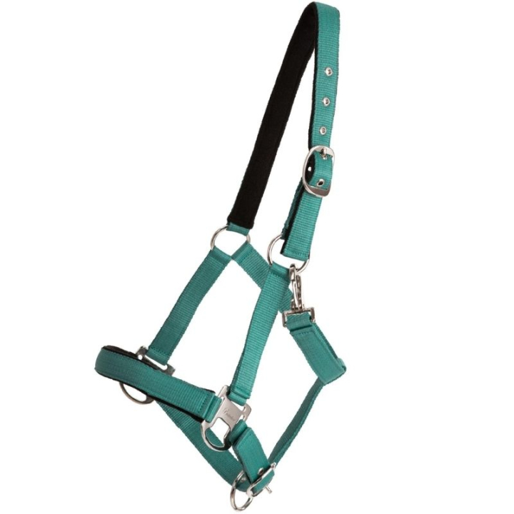 Grimma Double Buckle Turkos i gruppen Hästutrustning / Grimmor / Tyg- & Nylongrimmor hos Horseonline AB (246242TU_r)