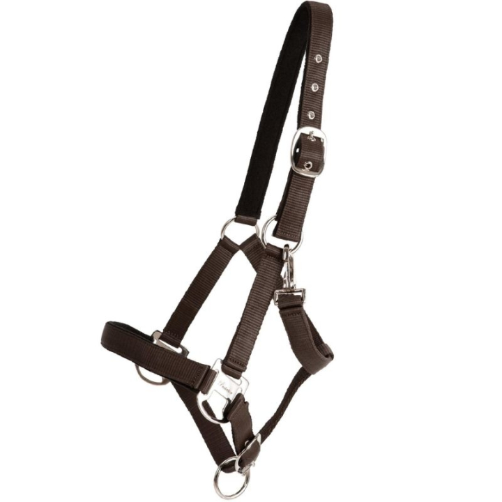 Grimma Double Buckle Brun i gruppen Hästutrustning / Grimmor / Tyg- & Nylongrimmor hos Horseonline AB (246252BR_r)