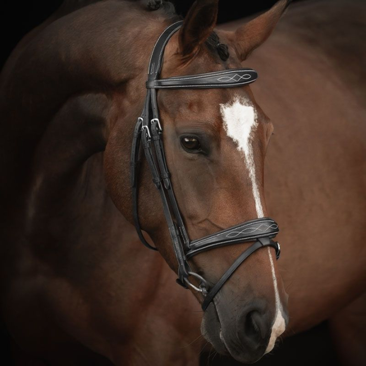 Träns Supreme Fancy Svart i gruppen Hästutrustning / Träns & Pannband / Träns hos Horseonline AB (260413BA)