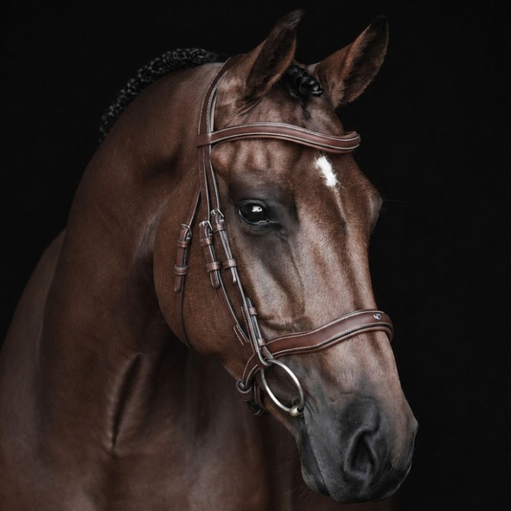 Anatomiskt Träns Eccelente Brun i gruppen Hästutrustning / Träns & Pannband / Träns hos Horseonline AB (260653BR_r)