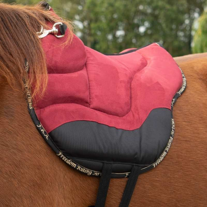 Barbackapad Dardo Basic Vinröd i gruppen Hästutrustning / Sadlar & Barbackapads hos Horseonline AB (2700412112WN)