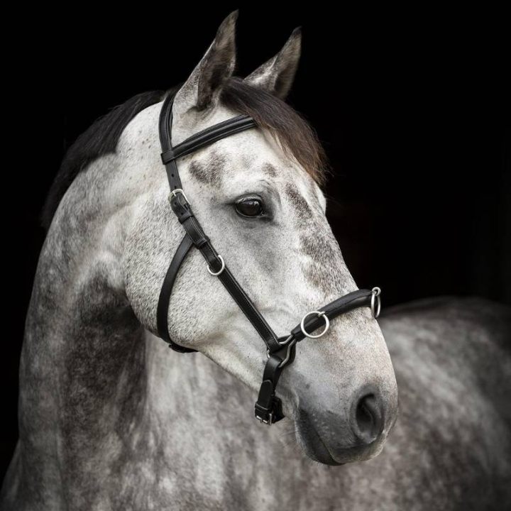 Kapson Supreme Svart i gruppen Hästutrustning / Longering & Tömköring hos Horseonline AB (280613BA_r)