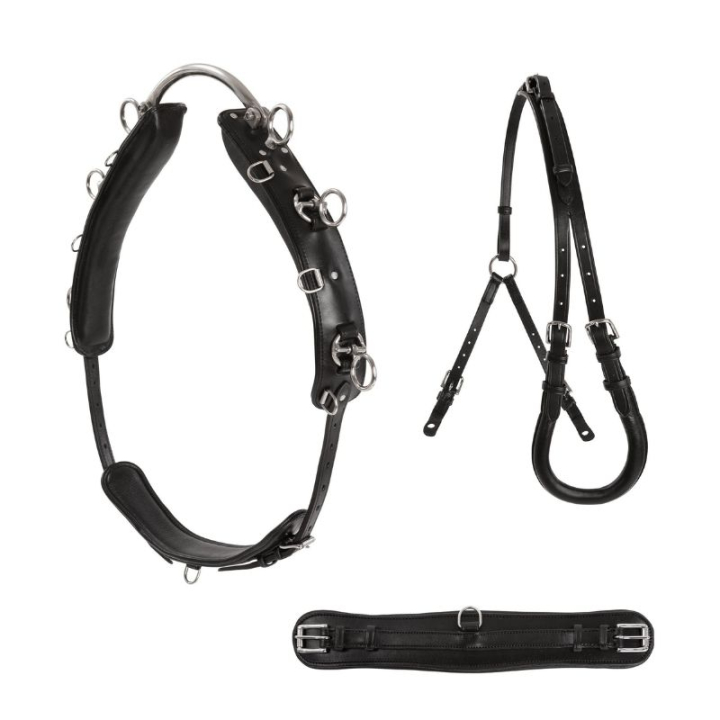 Tömkörningsgjord Shetland/Pony Svart i gruppen Hästutrustning / Longering & Tömköring hos Horseonline AB (287312BA)