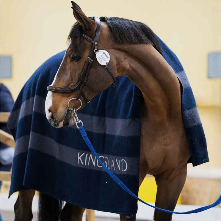 Ullfilt Classic Marinblå i gruppen Hästtäcken / Ulltäcken hos Horseonline AB (3156260202031NA)
