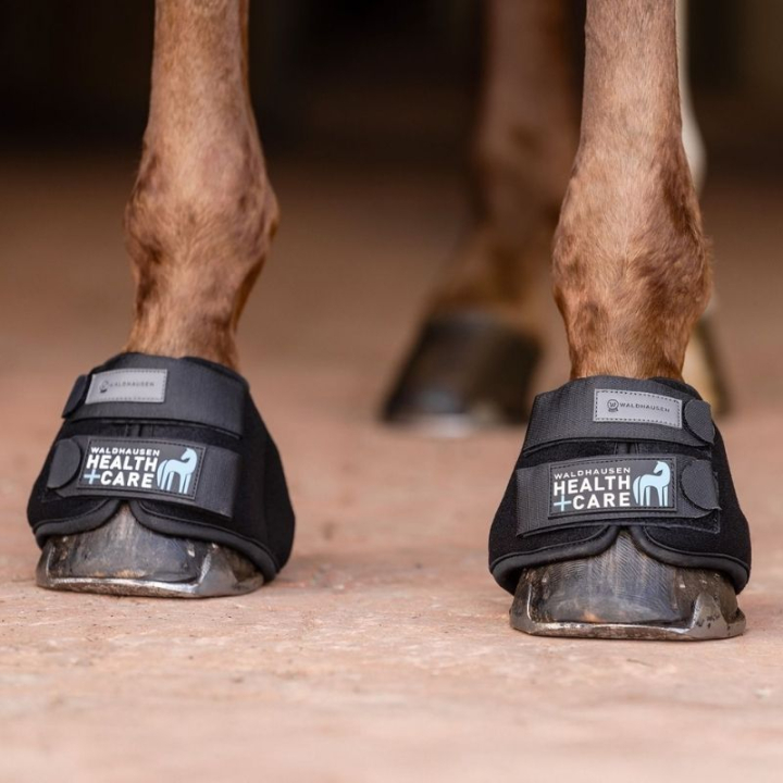 Kylande Boots Cooling Svart i gruppen Hästutrustning / Benskydd & Benlindor / Boots hos Horseonline AB (3753101SBA_r)