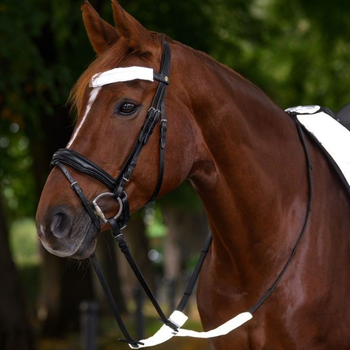Reflexer för Träns Set 3-pack Silver i gruppen Ridutrustning / Reflexer hos Horseonline AB (380511SI)
