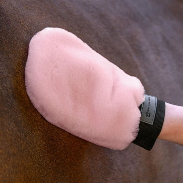 Groominghanske Lucky Lambskin Rosa i gruppen Skötsel & Vård / Borstar / Groominghandskar hos Horseonline AB (3835732PI)