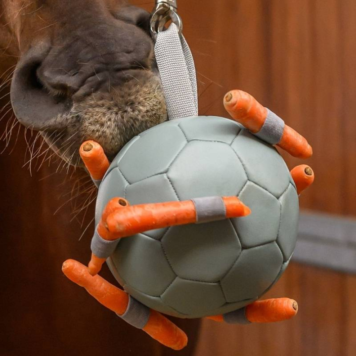 Hästleksak Carrot Ball Grön i gruppen Stall & Hage / Hästleksaker hos Horseonline AB (388175GN)