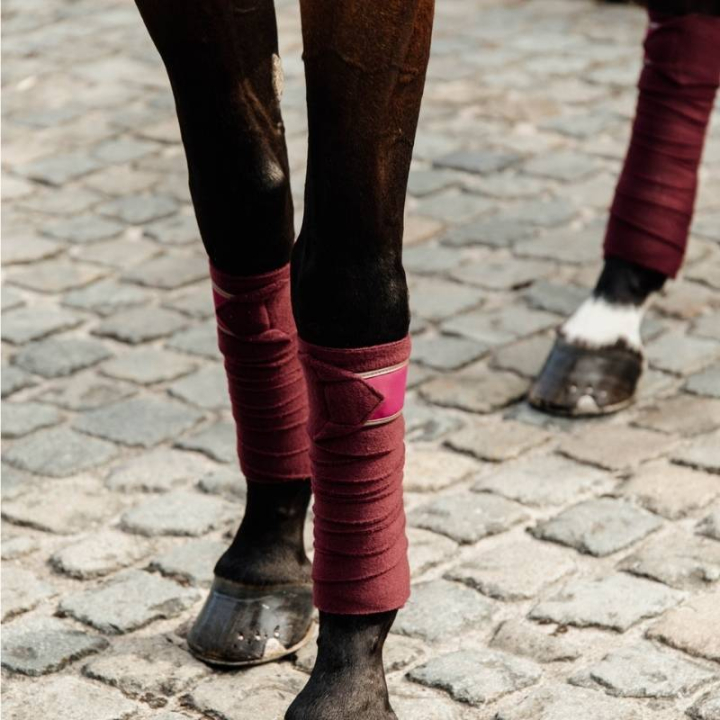 Lindor Polar Fleece 4-pack Bordeaux i gruppen Hästutrustning / Benskydd & Benlindor / Benlindor hos Horseonline AB (42111BO)