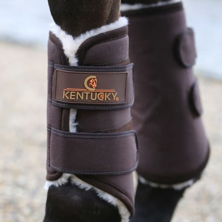 Damasker Solimbra Front Brunt i gruppen Hästutrustning / Benskydd & Benlindor / Damasker & Dressyrskydd hos Horseonline AB (42301Br_r)
