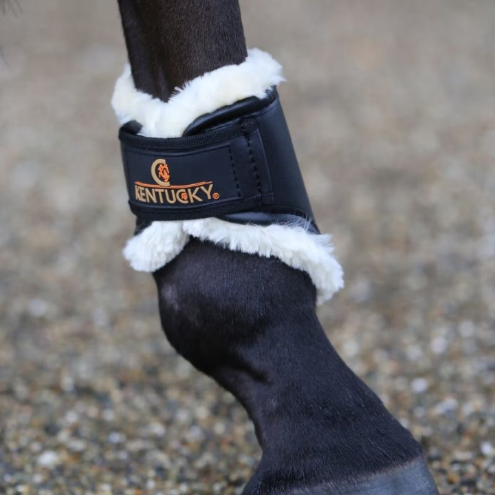 Damasker Leather Hind Short Svart i gruppen Hästutrustning / Benskydd & Benlindor / Damasker & Dressyrskydd hos Horseonline AB (4230501FBA_r)
