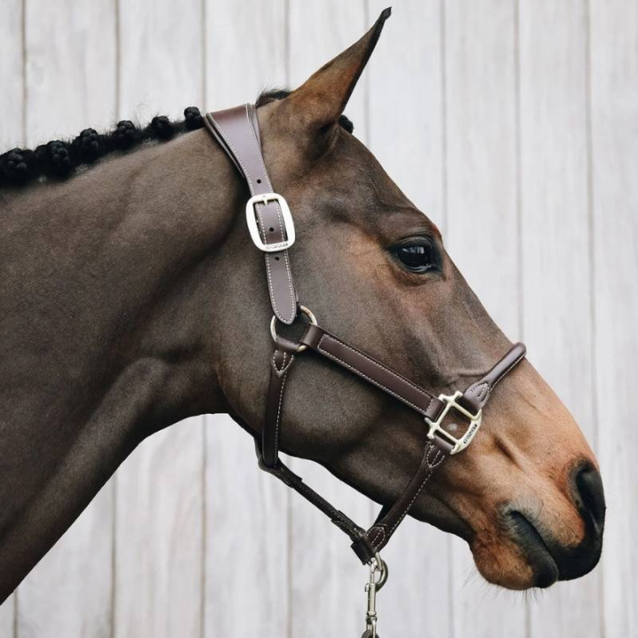 Anatomisk Konstlädergrimma Brun i gruppen Hästutrustning / Grimmor / Lädergrimmor hos Horseonline AB (42513Br_r)